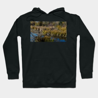 Urban park in the fall Hoodie